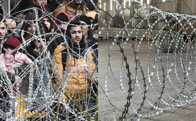 تفاوت سیم خاردار خطی و حلقوی